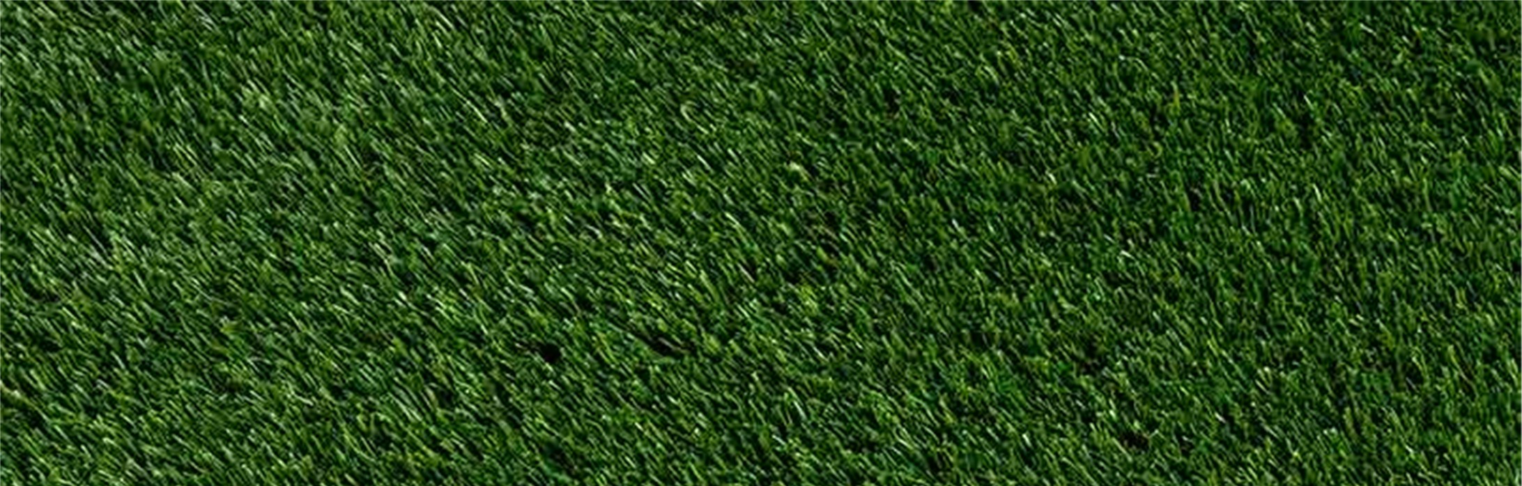 Oakmont Artificial Grass Oakmont Artificial Grass, Playground / Sports Turf, Chino Hills